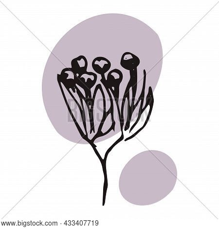 The Plant Is Drawn By Hand With A Pen And Translated Into Vector Format. In The Background There Is 