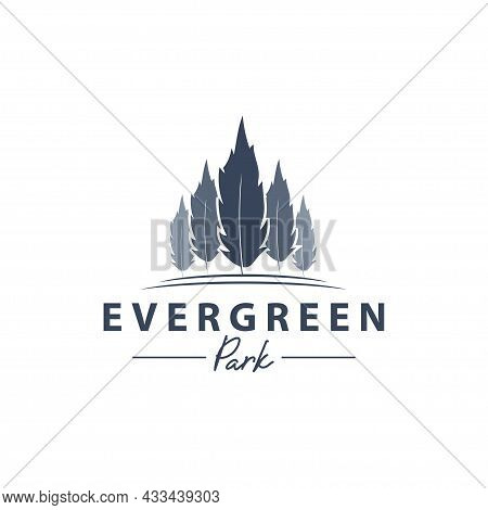 Evergreen Timberland Park Logo Design Vector, Forest Outdoor Graphic Illustrations