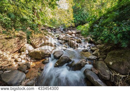 Beautiful Landscape View In Deep Forest At Namtok Phlio National Park Chanthaburi Thailand.