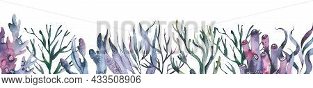 Watercolor Corals Underwater World Horizontal Illustration With Watercolor Sea Life Colorful Seaweed