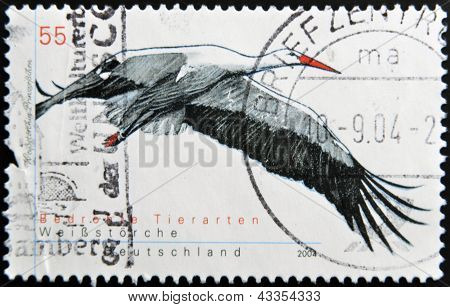 Eine Briefmarke gedruckt in wird zeigt ein Weißstorch