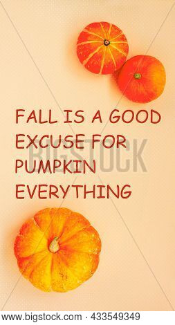 Bright Fall Vertical Backgrounds For Media Stories. Fall Is A Good Excuse For Pumpkin Everything, Te