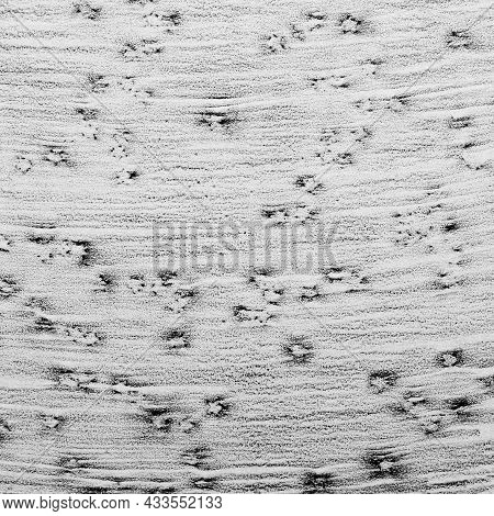 Handdrawn Graphite Pencil Monochrome Background, For Illustrating Anxiety, Psyho, Depression, Schizo
