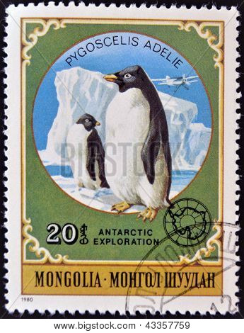 Een stempel gedrukt in Mongolië toont Adéliepinguïn - Pygoscelis adeliae