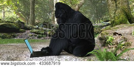 Gorilla With Laptop In Forest Concept 3d Illustration