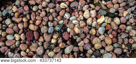 Closeup Of Different Coloured Pebbels Abstract Background Pattern. River Stones.