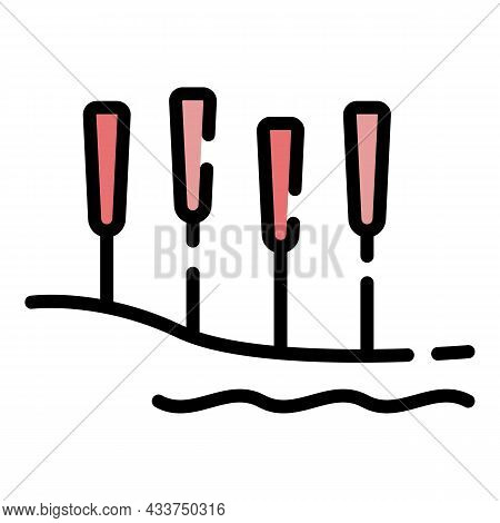 Needle Massage Icon. Outline Needle Massage Vector Icon Color Flat Isolated