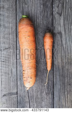 Two Carrots On Wooden Table, Big Vs Small, Self Esteem And Competition Concept