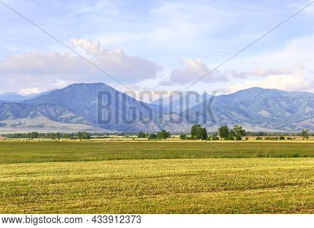 A Mown Field Among The Altai Mountains Under A Blue Sky. Siberia, Russia