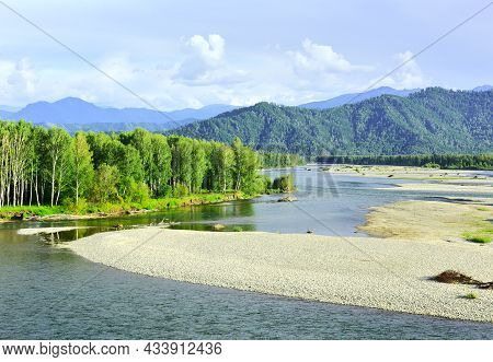 A Rocky Riverbed Surrounded By Trees And Altai Mountains Under A Blue Sky. Siberia, Russia