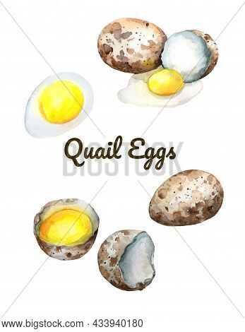 Quail Eggs Watercolor. Illustration Isolated On White Background