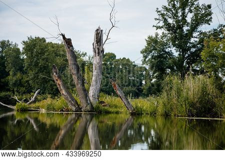 South Moravia, Czech Republic: Landscape By The Water. Stara Or Old Dyje River Near Januv Hrad At Le