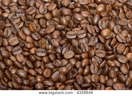 Texture di chicchi di caffè