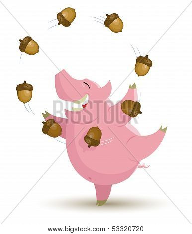 Pig Is Juggling With Acorn