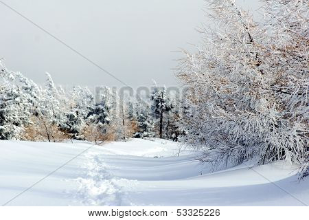 Walking trail buried