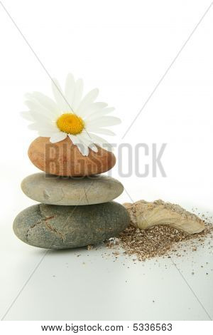 Daisy og hjul, Zen, slappe af og Meditation