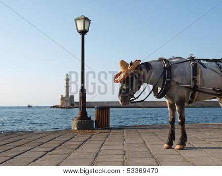 Horse in hat on sea quay with lantern and lighthouse
