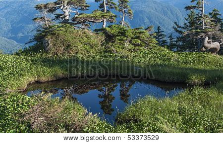 Natural Pool In Mountains