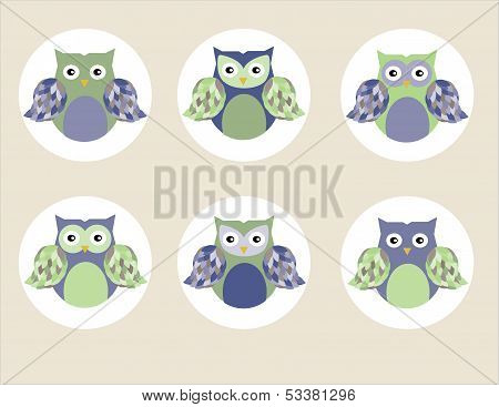 Owl Love