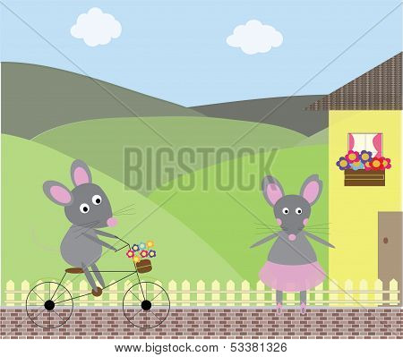 Mousey House