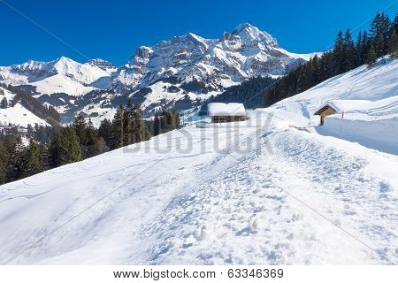 Beautiful View To Winter Swiss Alps, Berner Oberland, Adelboden