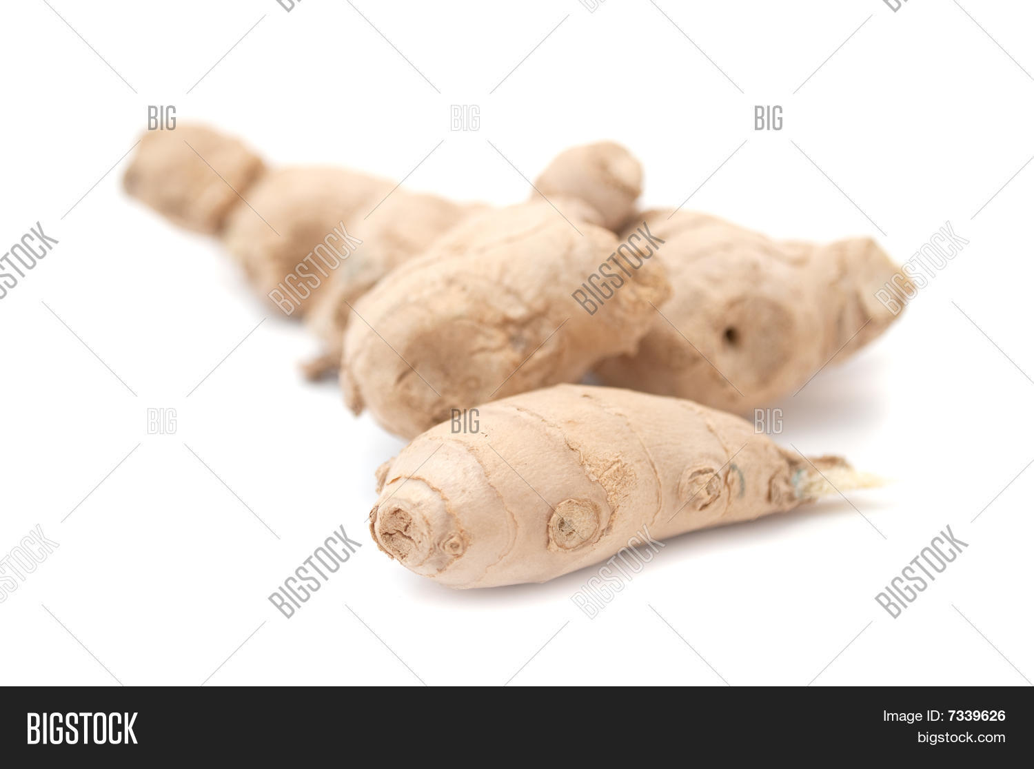 Image Preview
