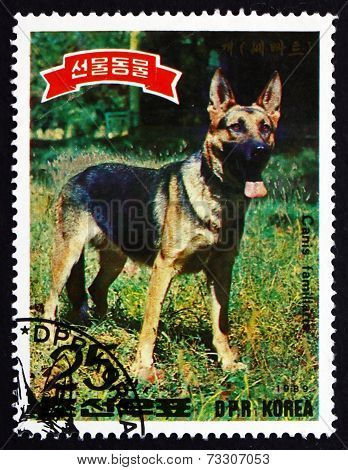 Postage Stamp North Korea 1989 German Shepherd