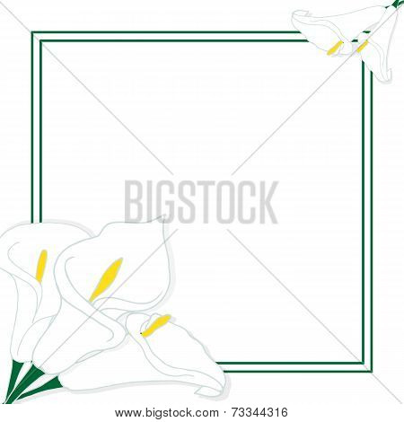 Card with flowers and place for text
