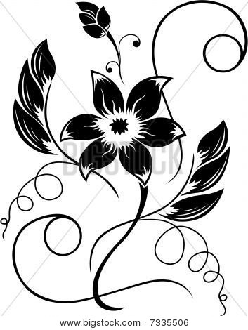 Fiore nero un modello bianco