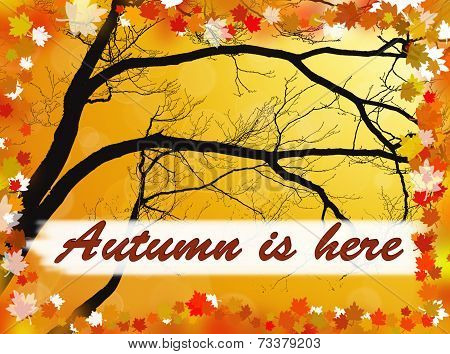 Autumn is here background
