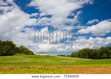 Green Grass And Blue Sky With Clouds