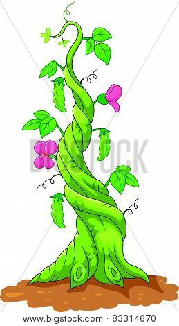 Cartoon bean stalk