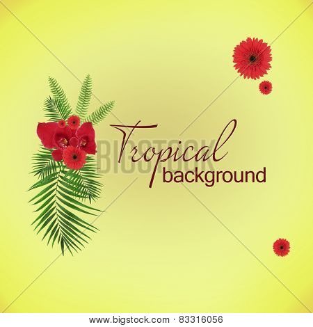 Space for your text near palm tree leaves and red flowers