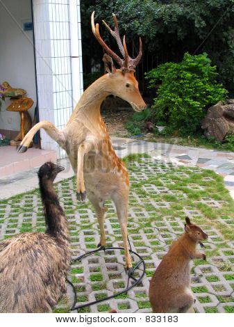 Animali Fake