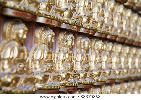 Buddha statues in temple