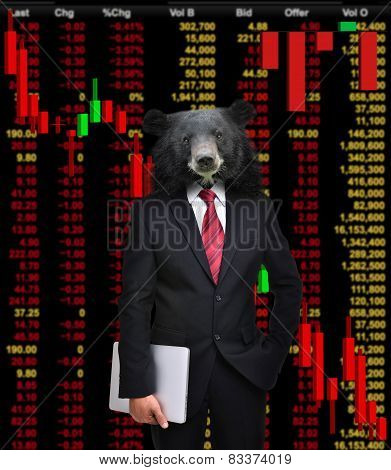 Bear Market, Stock Investment Concept