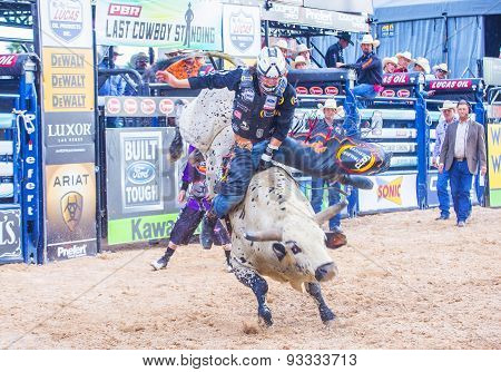 Last Cowboy Standing