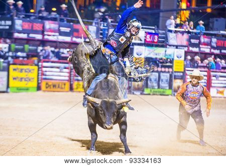 Last Cowboy Standing