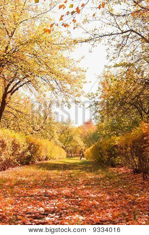 Herbstlandschaft
