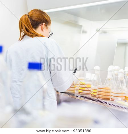Life scientist researching in the laboratory.