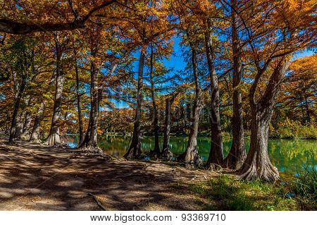 Fall Foliage on the Frio River, Texas