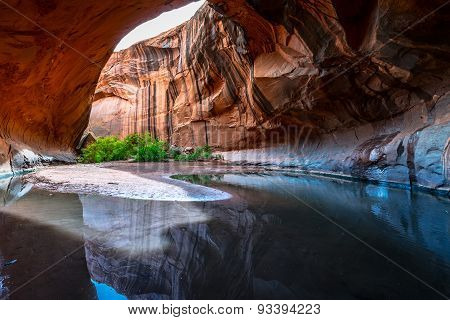 Golden Cathedral Neon Canyon Escalante National Park Utah