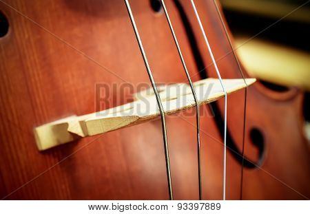 Cello - orchestra musical instruments