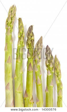 Hierarchy Of Asparagus