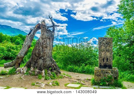 The old broken tree and the preserved medieval Khachkar behind the Chrches of Haghartsin Monastery surrounded by lush greenery Armenia.