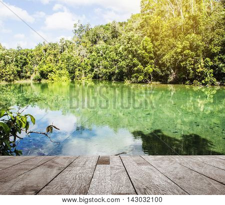Wood floor top on river with green tree in nature