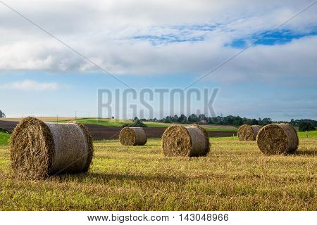 Haystack on a field of stubble. August countryside landscape. Masuria Poland.