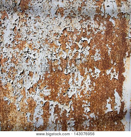 rusty old metal trash background for design