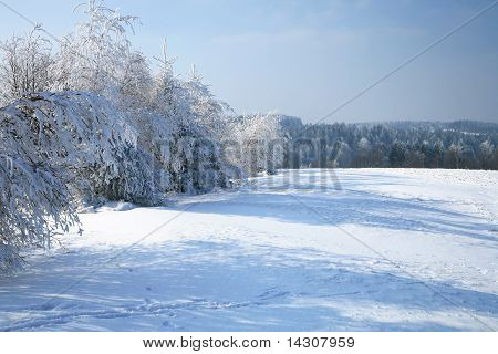 Słoneczny, zimowy dzień