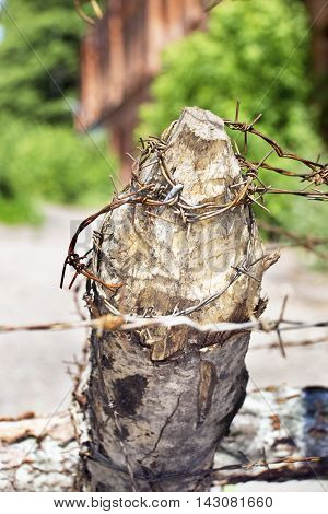 Close view of wooden pole with barbed wire